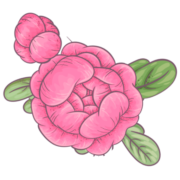 Logo de www.tejidosvianey.com